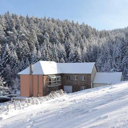 Gite Gretel De La Ferme Du Schneeberg Wangenbourg-Engenthal Exterior foto